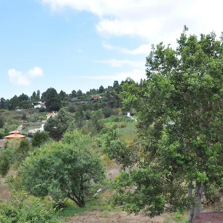 Oasis Hill Icod De Vinos Oda ve Kahvaltı