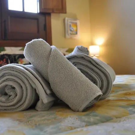 B&B Oasis Hill Icod De Vinos