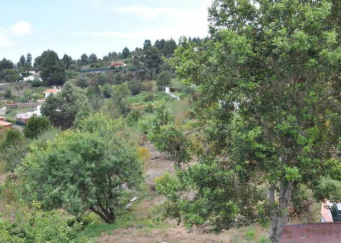 Oasis Hill Icod De Vinos 4*