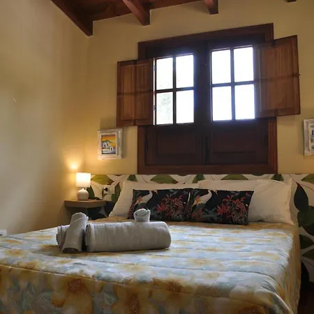 Oasis Hill Icod De Vinos Icod De Los Vinos