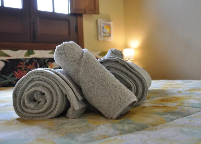 Bed & Breakfast Oasis Hill Icod De Vinos
